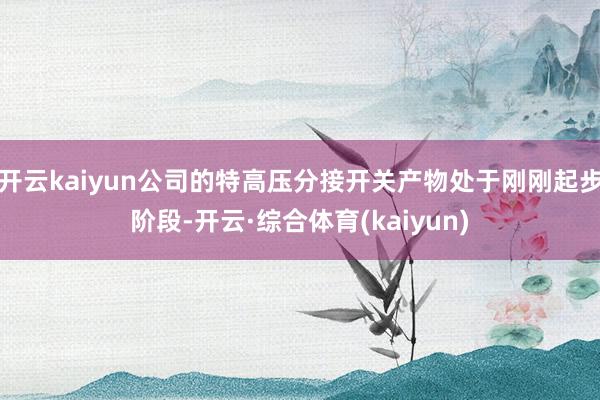 开云kaiyun公司的特高压分接开关产物处于刚刚起步阶段-开云·综合体育(kaiyun)