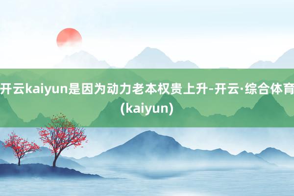 开云kaiyun是因为动力老本权贵上升-开云·综合体育(kaiyun)