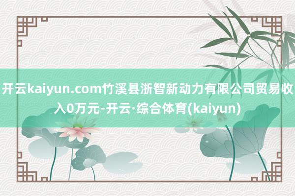 开云kaiyun.com竹溪县浙智新动力有限公司贸易收入0万元-开云·综合体育(kaiyun)