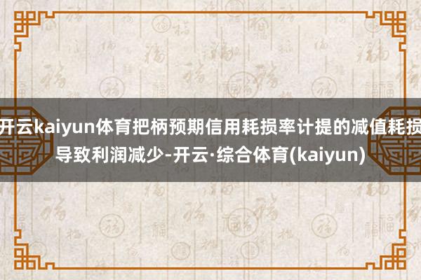 开云kaiyun体育把柄预期信用耗损率计提的减值耗损导致利润减少-开云·综合体育(kaiyun)