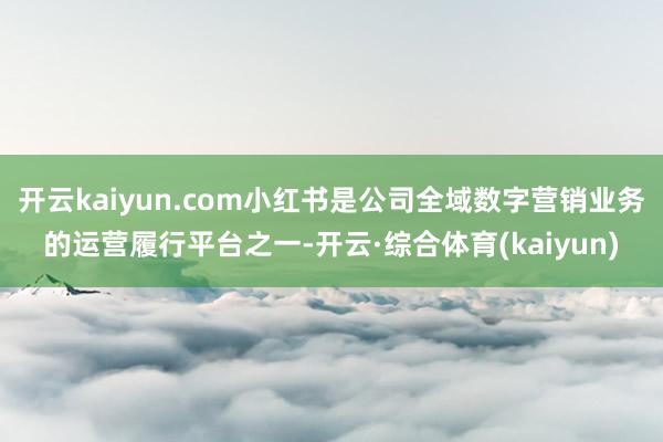 开云kaiyun.com小红书是公司全域数字营销业务的运营履行平台之一-开云·综合体育(kaiyun)